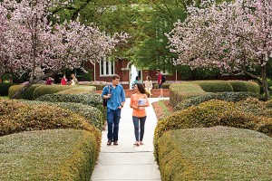Students walk on path by the fountain