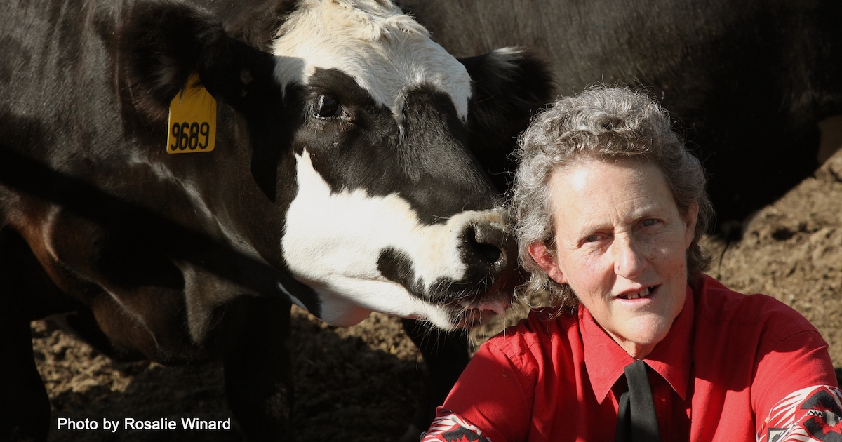 Author, advocate, and educator Dr. Temple Grandin.