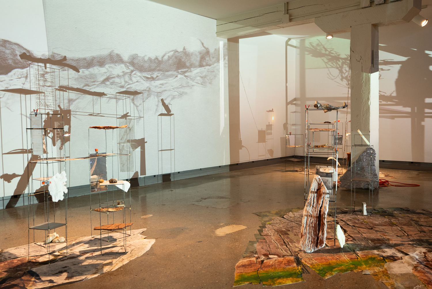 Art Exhibition at Harper Gallery: Limnologies – Claudia O’Steen collaboration with Aly Ogasian