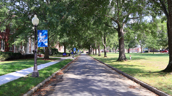 A clear view of the Vance Plaza one year after Hurricane Helene.