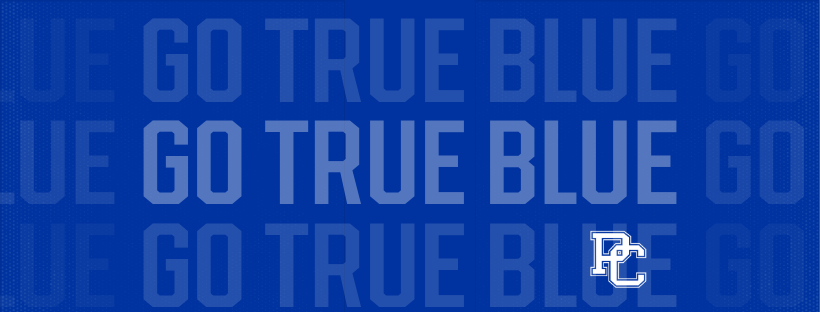 Facebook Banner graphic - repeating text on a blue background saying "Go True Blue"