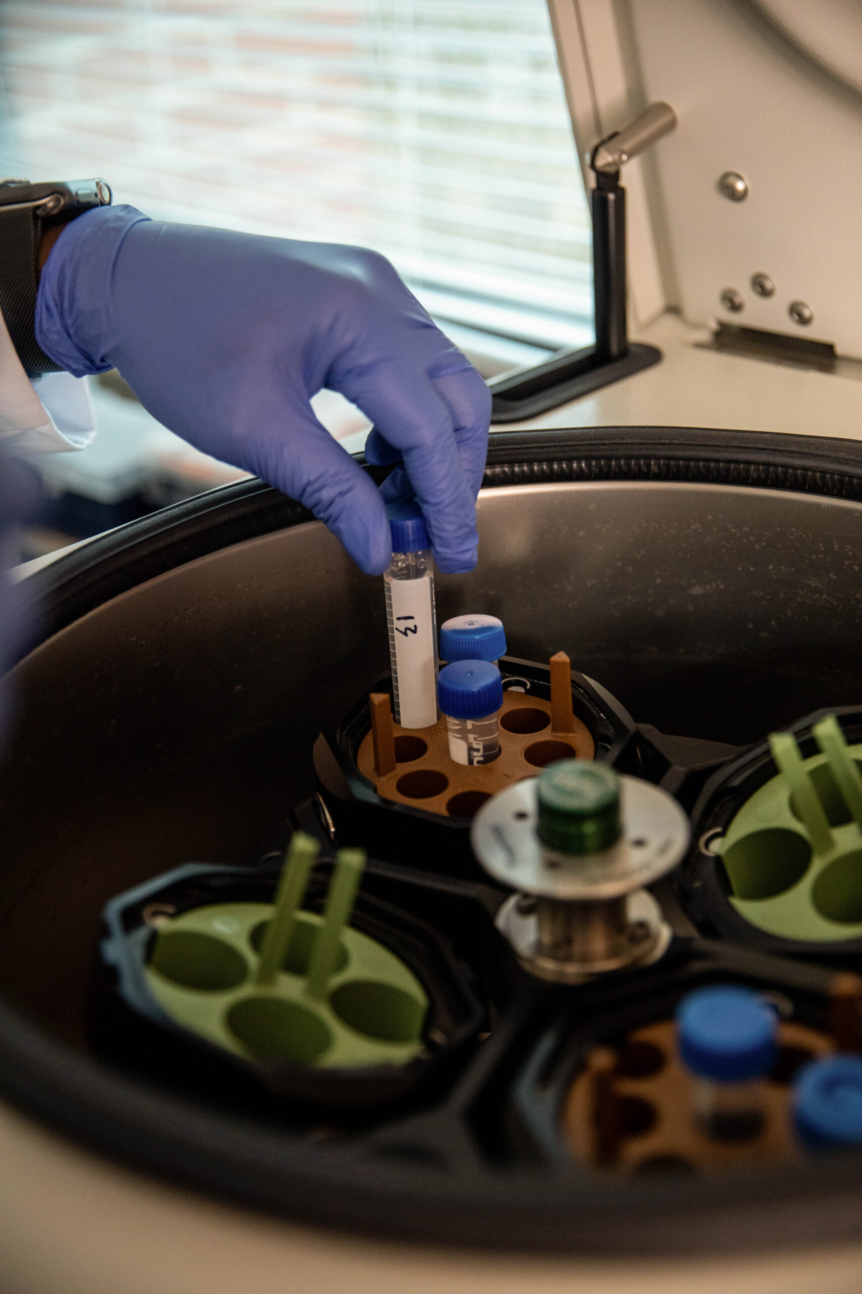 PharmD student in Pharmacy School lab