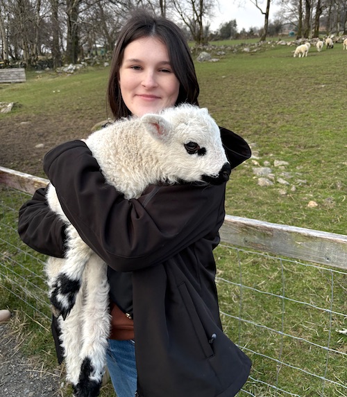 Presbyterian College senior Madeyln Wilkie on a sheep farm in Ireland, part of her intercultural experiences doing research and study abroad.