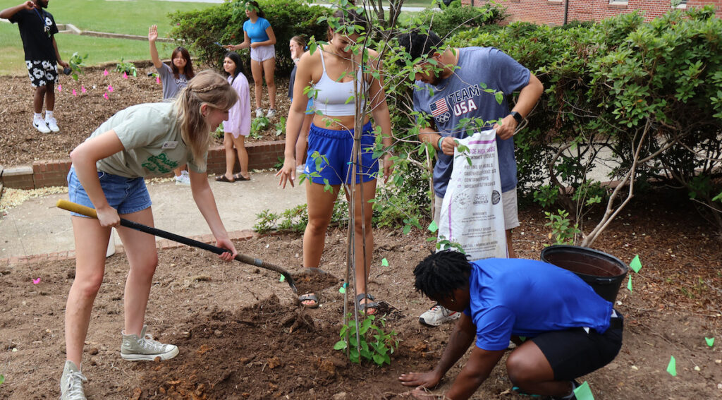 Presbyterian College students planting new trees during the 2025 Earth Day celebration.