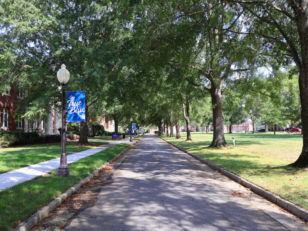 An eastward view of the Vance Plaza on the Presbyterian College campus.