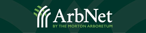 ArbNet logo