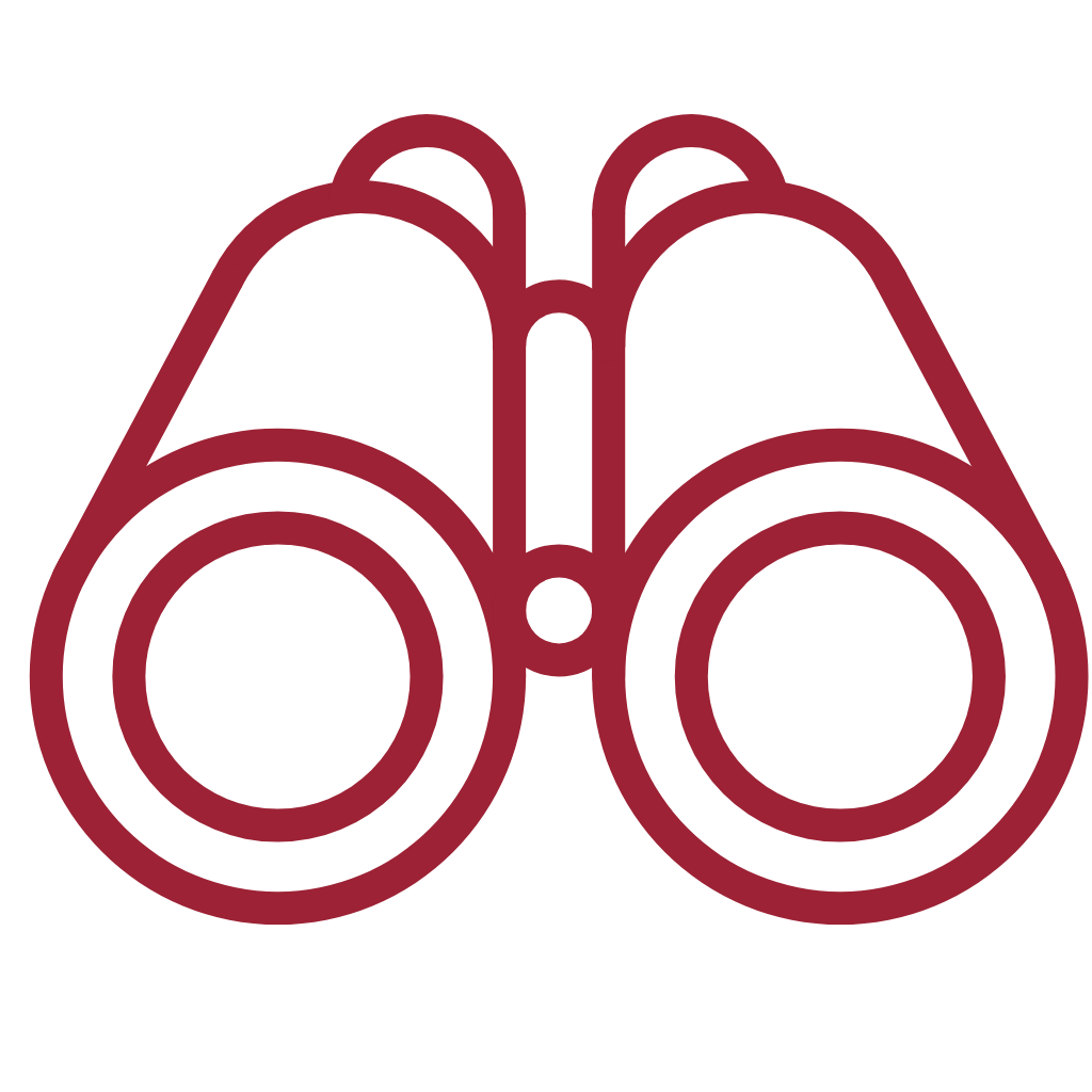 Binoculars Icon