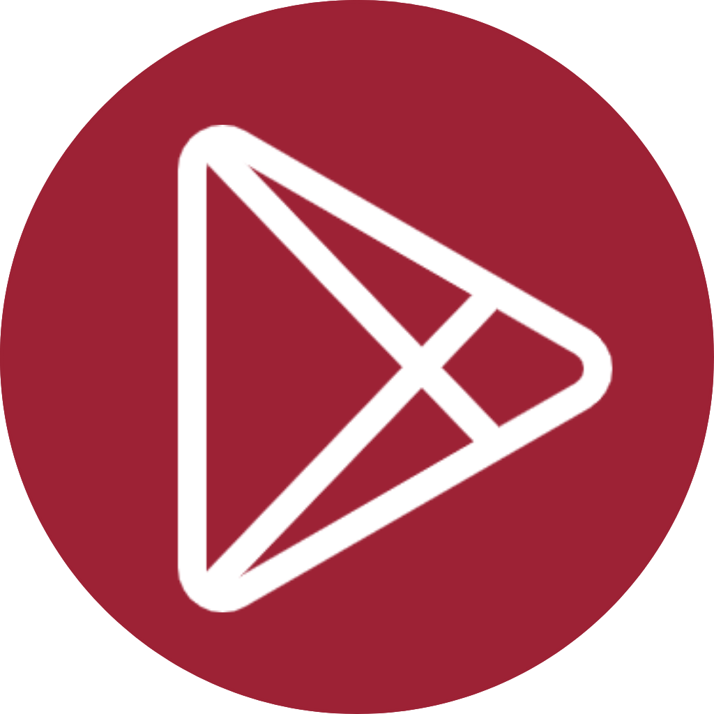 Google Play Store Icon