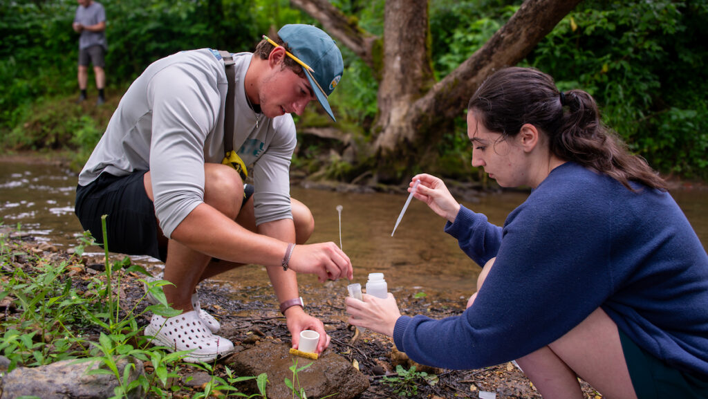 PC students collect samples during a field biology course in Tennessee.