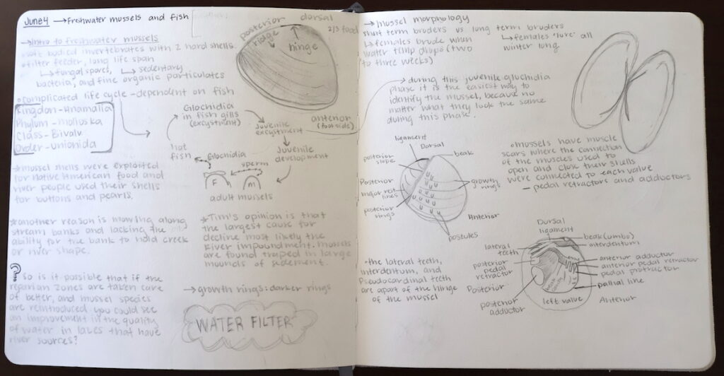 A journal created by a PC student for a field biology course on the Clinch River in Tennessee.