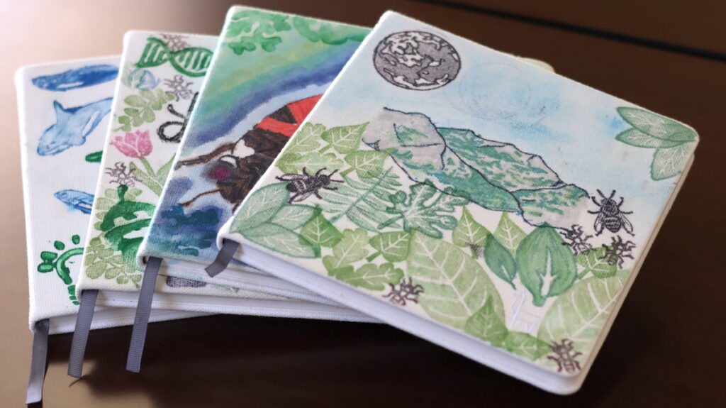 Colorful journals created by PC students for a field biology course on the Clinch River in Tennessee.