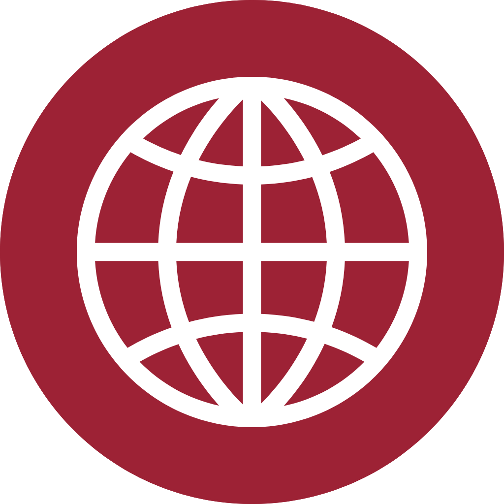 Internet Icon