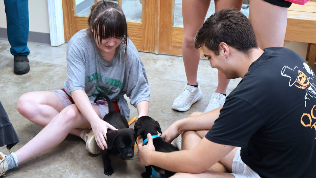 PC students volunteering at the Laurens County Humane Society.